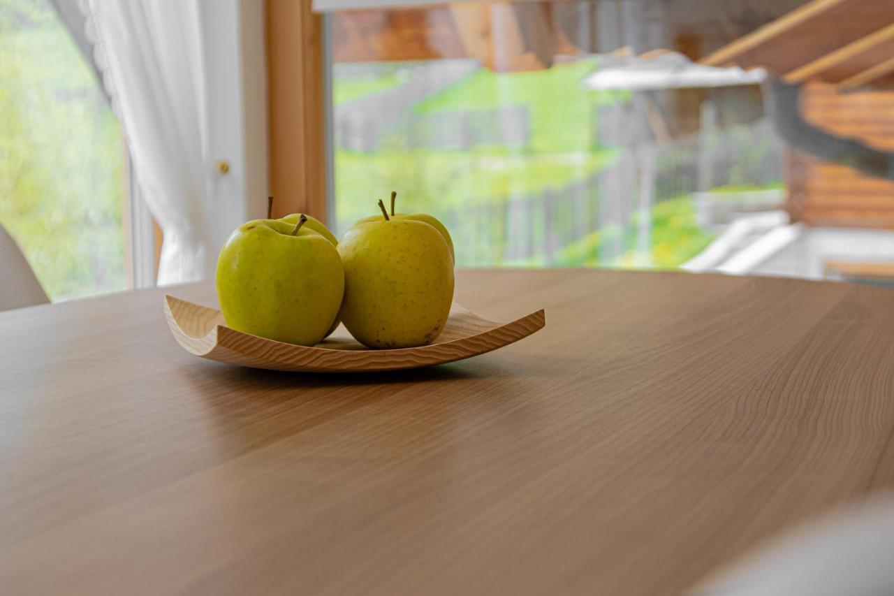 Apartment Dolomites Nest San Martino in Badia Dış mekan fotoğraf