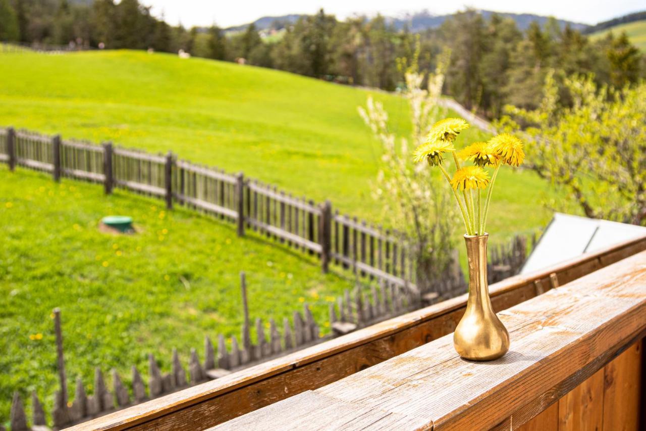 Apartment Dolomites Nest San Martino in Badia Dış mekan fotoğraf