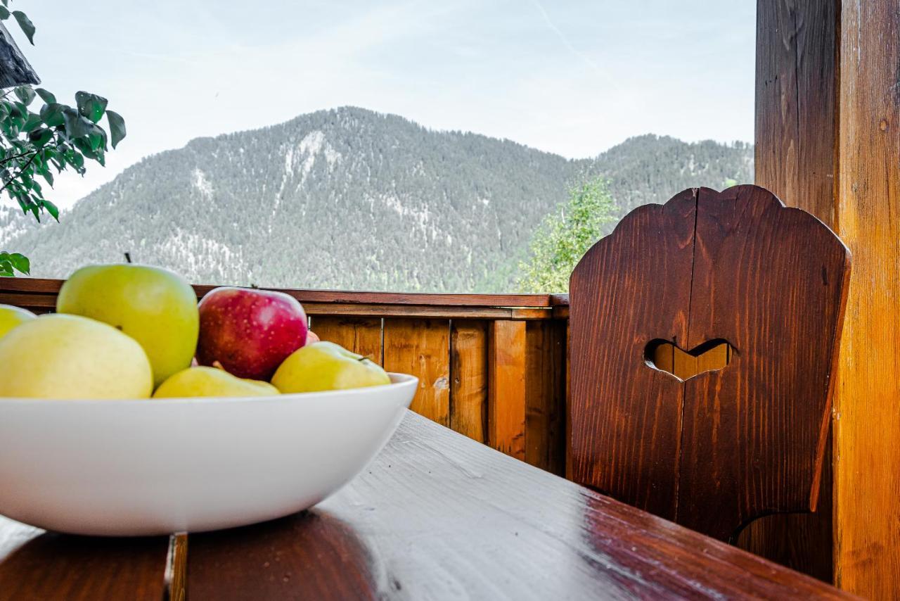 Apartment Dolomites Nest San Martino in Badia Dış mekan fotoğraf